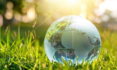 Climate Disclosure Guidelines