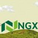 domestic investors NGX