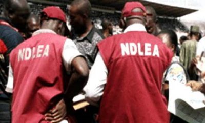 Drug Dealers NDLEA