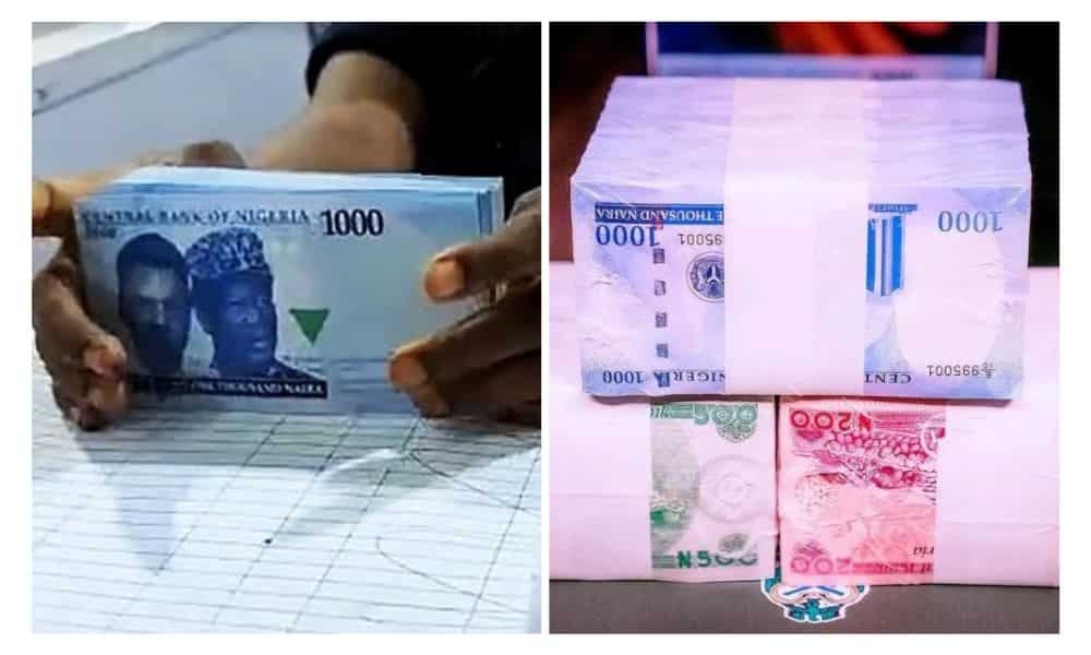 flow of naira notes