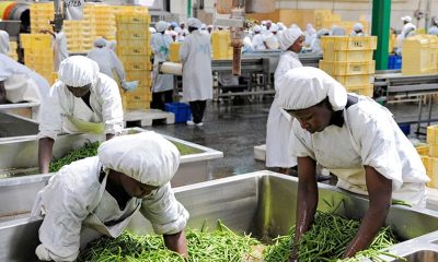food processing