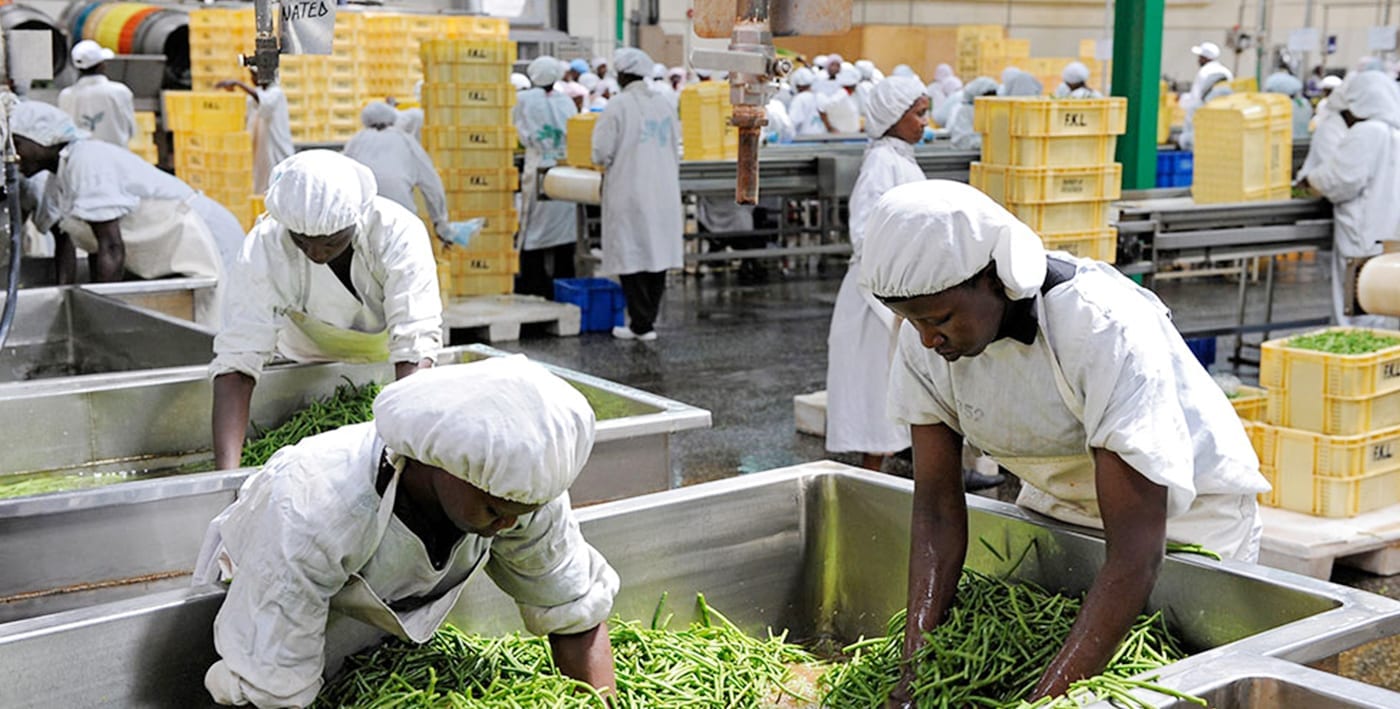 food processing