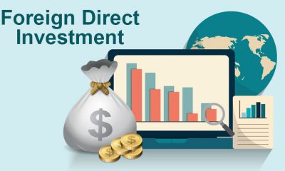 Foreign Direct Investments