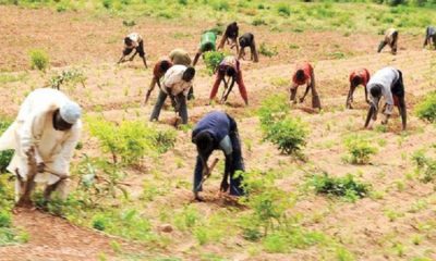 North-East Farmers