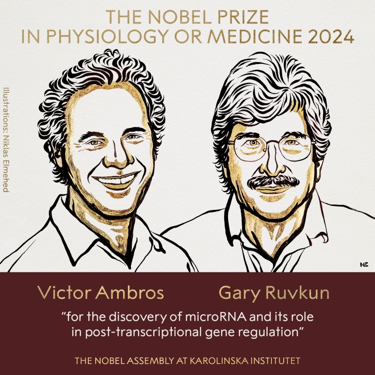 Victor Ambros and Gary Ruvkun