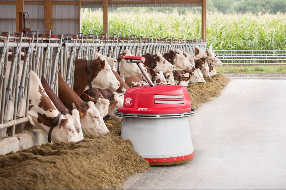 Robots are becoming increasingly common in agriculture, as with this machine made by Dutch firm Lely, which pushes cattle feed back toward their pens. Photo: Lely