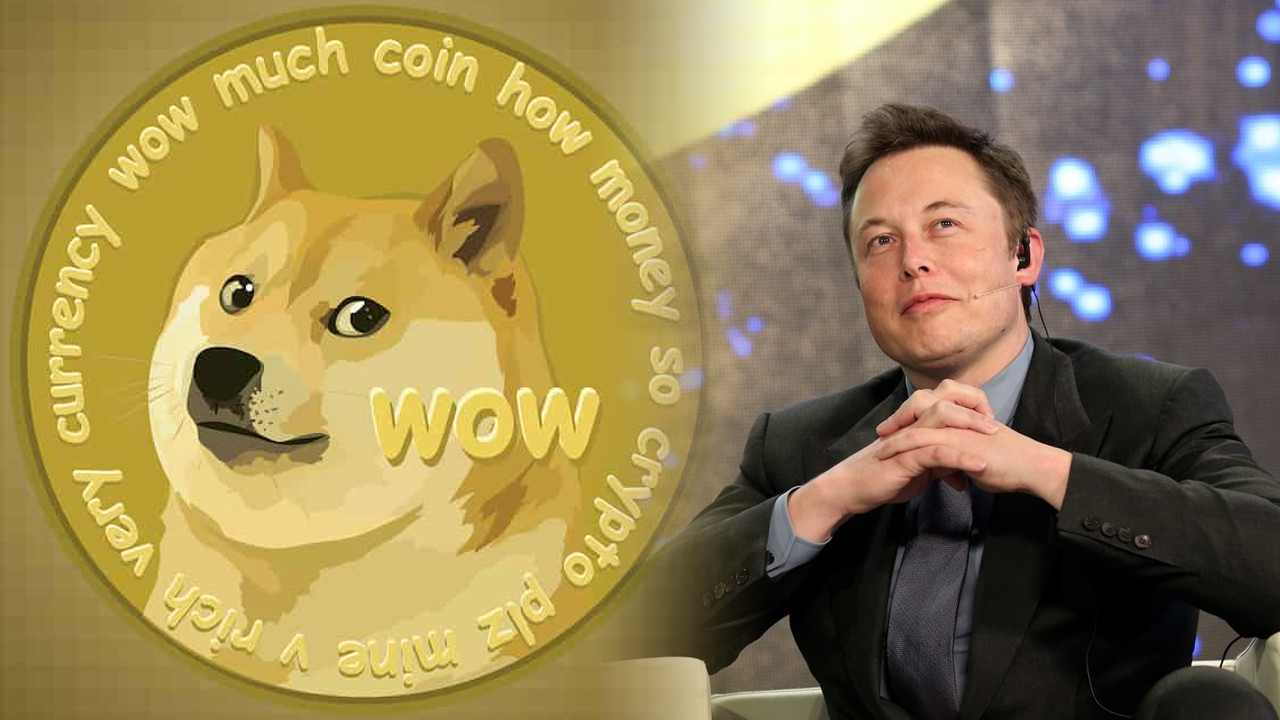 Elon Musk Dogecoin 