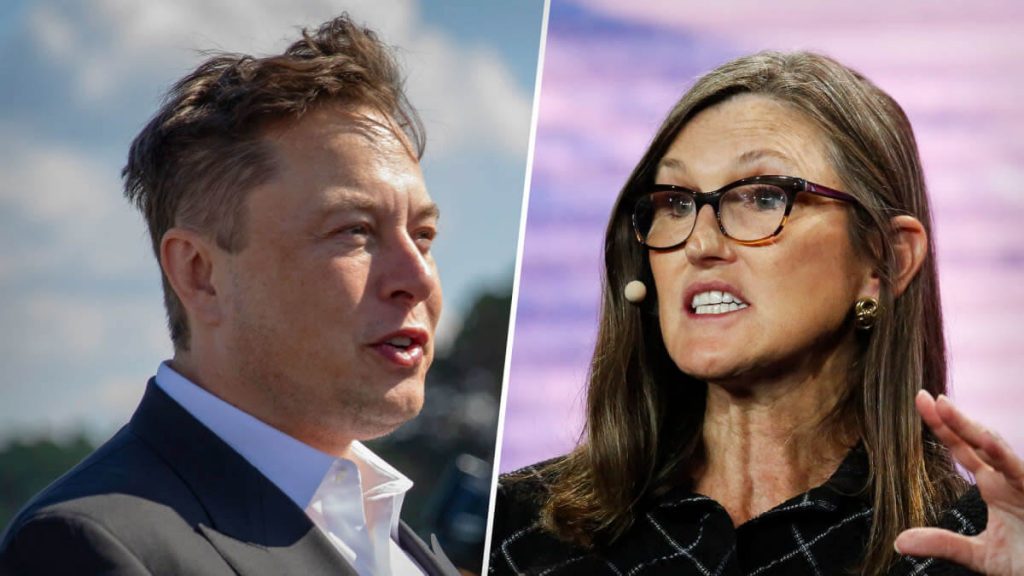 Cathie Wood and Elon Musk